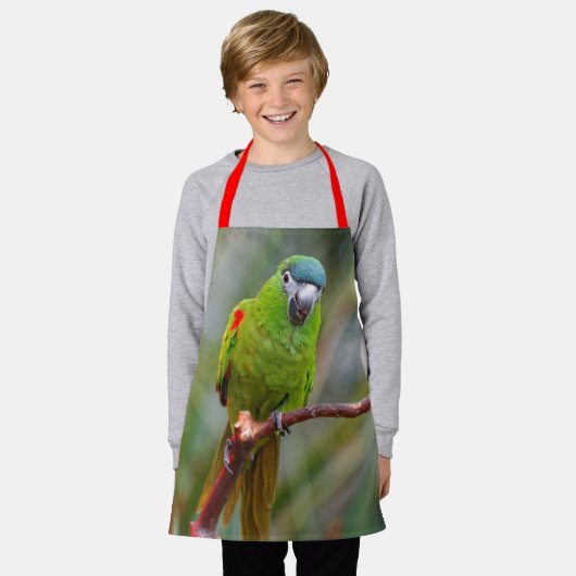 Cute Hahn's Red Shoulded Mini Macaw Parrot Bird Schort (Gedragen)