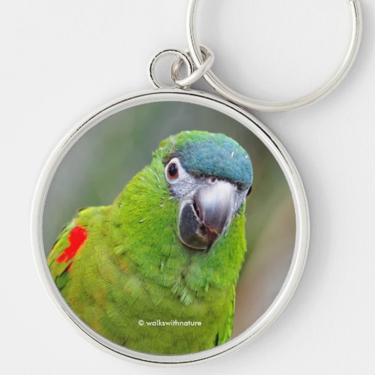 Cute Hahn's Red Shoulded Mini Macaw Parrot Bird Sleutelhanger (Voorkant)