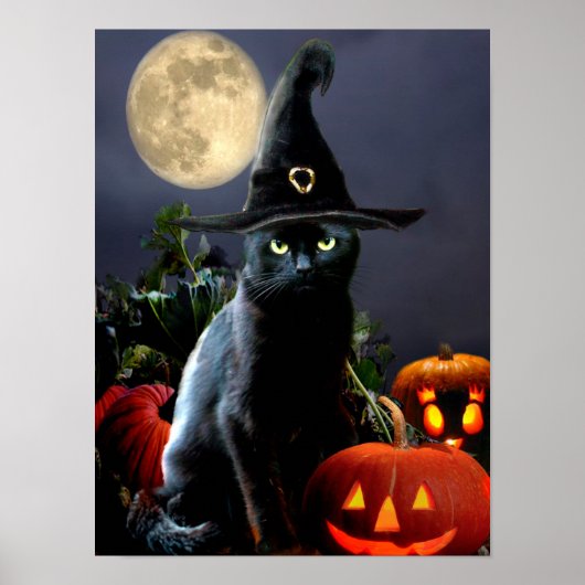 Cute Halloween cat poster (Voorkant)
