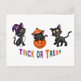 Cute Halloween Cats Briefkaart