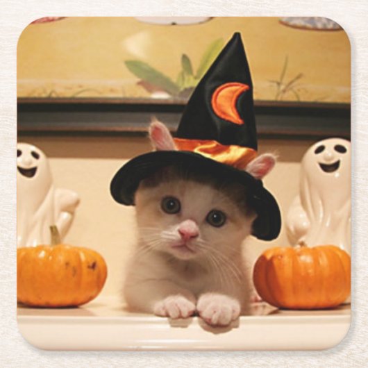 Cute Halloween Kitten Patroonontwerp Kartonnen Onderzetters (Voorkant)