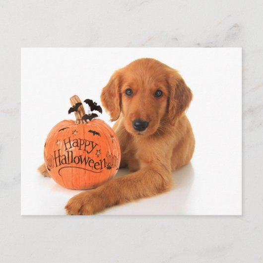 Cute Halloween Puppy with a pomkin Briefkaart (Voorkant)