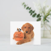 Cute Halloween Puppy with a pomkin Briefkaart (Staand voorkant)