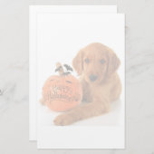 Cute Halloween Puppy with a pomkin Briefpapier (Voorkant / Achterkant)