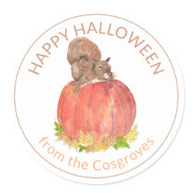 Cute Halloween Squirrel op pompoen