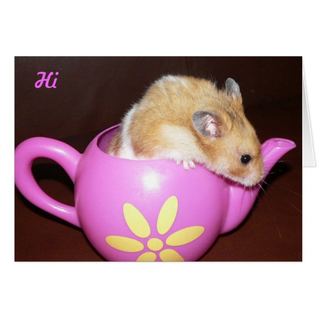 Cute Hamster (Voorkant Horizontaal)