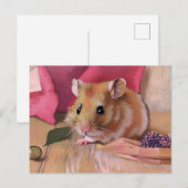 Cute Hamster Briefkaart (Voorkant / Achterkant)