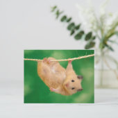 Cute Hamster Briefkaart (Staand voorkant)