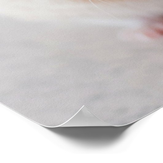 Cute Hamster Close-up poster (Hoek)