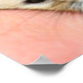 Cute Hamster Face 1 Poster (Hoek)