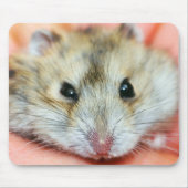 Cute Hamster Face 2 Muismat (Voorkant)