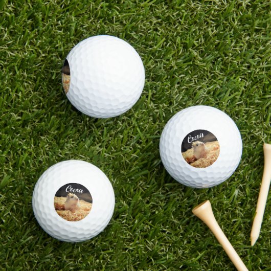 Cute Hamster Gift for Hamster Lovers Golfballen (Insitu Gras)