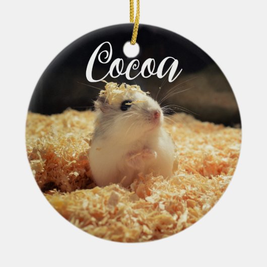 Cute Hamster Gift for Hamster Lovers Keramisch Ornament (Voorkant)