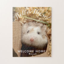 Cute Hamster Hallo Daar Welkom thuis