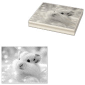Cute Hamster in bubbles Rubberstempel (Gestempeld)