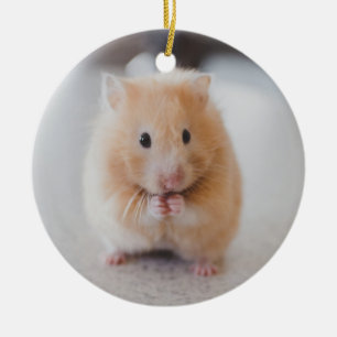 Cute hamster keramisch ornament
