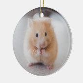 Cute hamster keramisch ornament (Links)