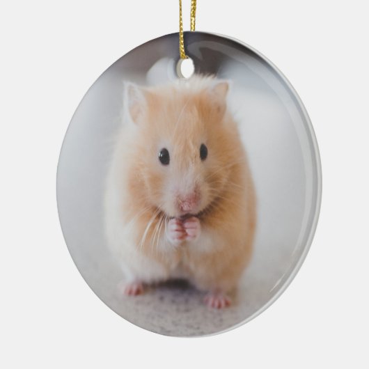 Cute hamster keramisch ornament (Links)