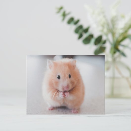 Cute Hamster Love Animals Briefkaart (Staand voorkant)