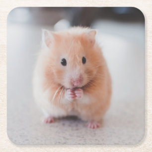 Cute Hamster Love Animals Kartonnen Onderzetters