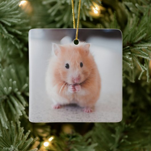 Cute Hamster Love Animals Keramisch Ornament (Boom)