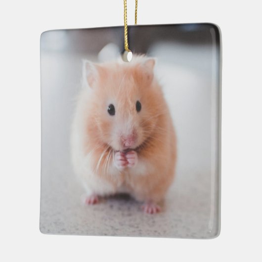 Cute Hamster Love Animals Keramisch Ornament (Links)