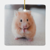Cute Hamster Love Animals Keramisch Ornament (Achterkant)