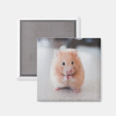Cute Hamster Love Animals Magneet (Voorkant / Achterkant)