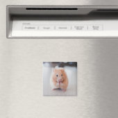 Cute Hamster Love Animals Magneet (Insitu (Vaatwasser))