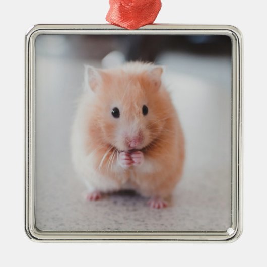 Cute Hamster Love Animals Metalen Ornament (Voorkant)