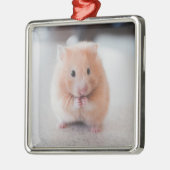 Cute Hamster Love Animals Metalen Ornament (Links)
