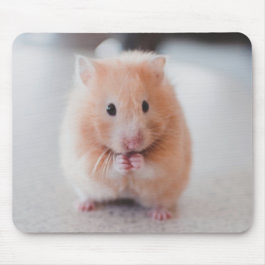 Cute Hamster Love Animals Muismat (Voorkant)