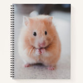 Cute Hamster Love Animals Notitieboek (Voorkant)