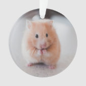 Cute Hamster Love Animals Ornament (voorkant)