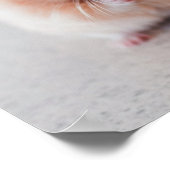 Cute Hamster Love Animals Poster (Hoek)