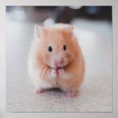 Cute Hamster Love Animals Poster (Voorkant)
