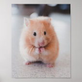 Cute Hamster Love Animals Poster (Voorkant)