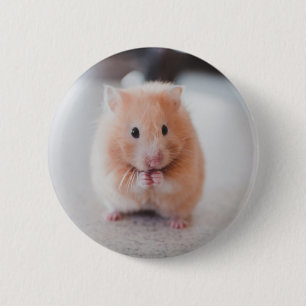 Cute Hamster Love Animals Ronde Button 5,7 Cm