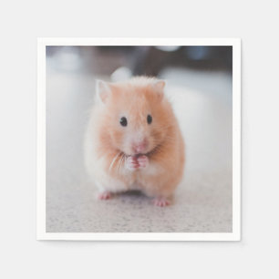 Cute Hamster Love Animals Servet
