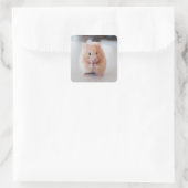 Cute Hamster Love Animals Vierkante Sticker (Tas)