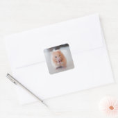 Cute Hamster Love Animals Vierkante Sticker (Envelop)