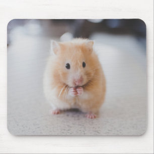 Cute hamster muismat