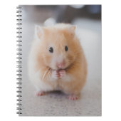 Cute hamster notitieboek (Voorkant)