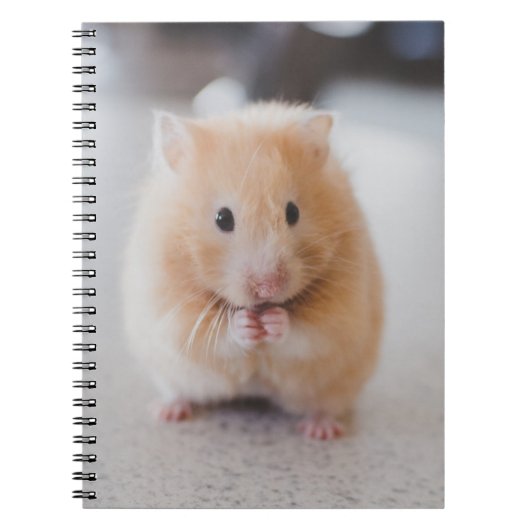 Cute hamster notitieboek (Voorkant)
