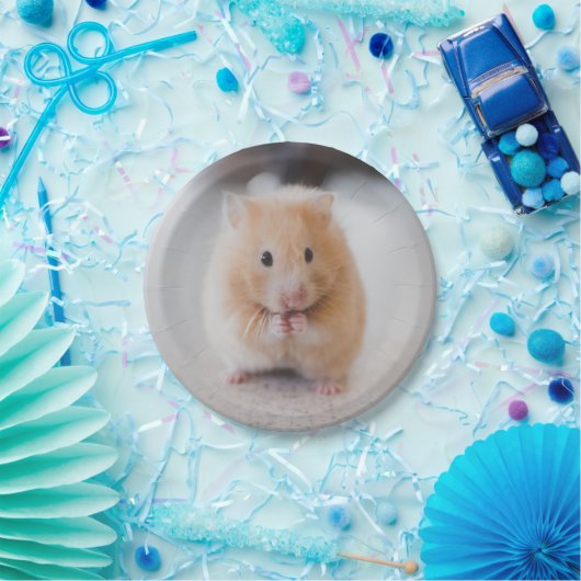 Cute hamster papieren bordje (Feest)