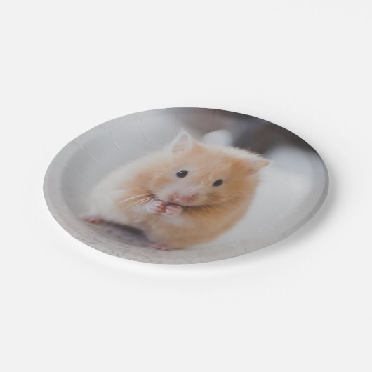 Cute hamster papieren bordje (Gekanteld)