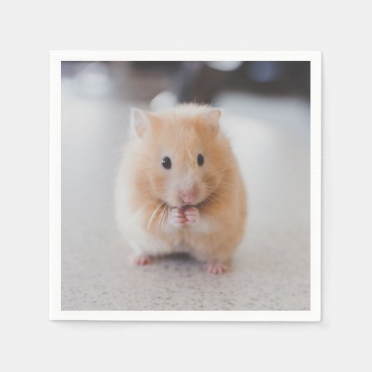 Cute hamster servetten (Voorkant)