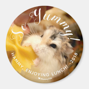 Cute Hamster So Yummy Magneet