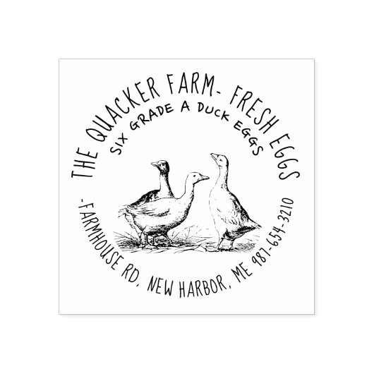 Cute Hand Drawn Illustration Local Duck Egg Carton Rubberstempel (Afrduk)