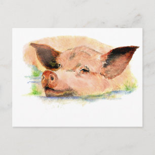 Cute Happy as a Pig in Mud, Boerderij Animal, Humo Briefkaart
